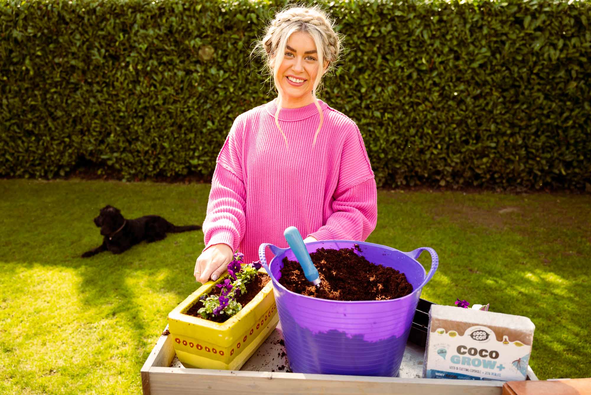 Cutting & Seeding Compost - 15L - with perlite