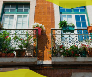 Best plants for an apartment balcony