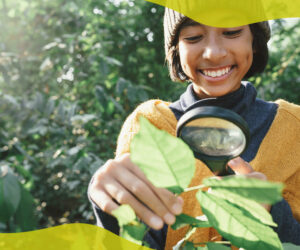 How often should I give my plants nutrients?