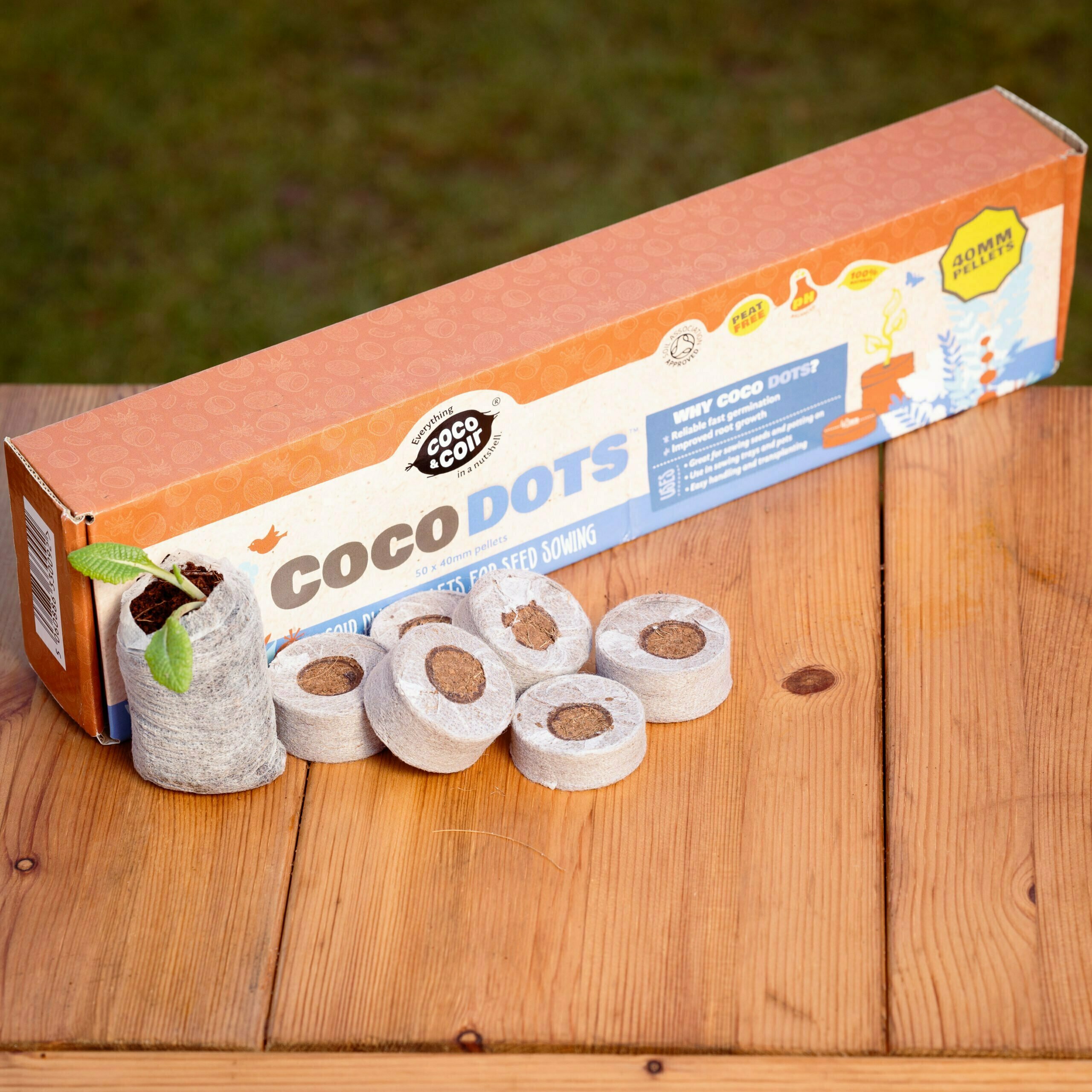 Saatgut-Kompostpellets für einzelne Samen - Coco Dots 40mm (x50)