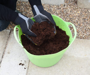 What’s the difference between seeding compost and potting compost?
