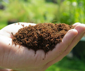 How to Recycle Coco Coir