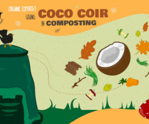 Organic compost: using coco coir in composting
