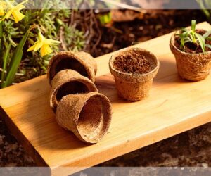 Compostable plant pots – Let’s go plastic free
