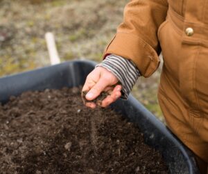 Your own recycled compost – done right!