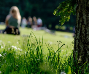 Gardening Jobs In July