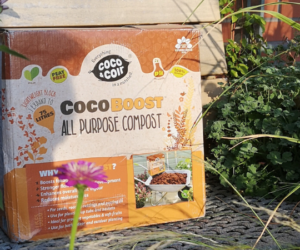 Green Gardener’s Guild Chat With: Third_Floor_Garden