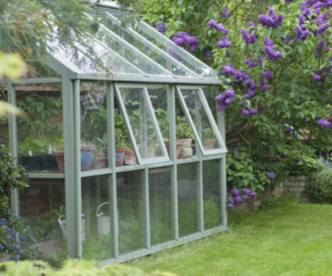 What to sow in November in the UK