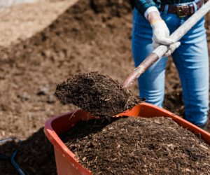 Your Ultimate Guide to The Different Types of Compost
