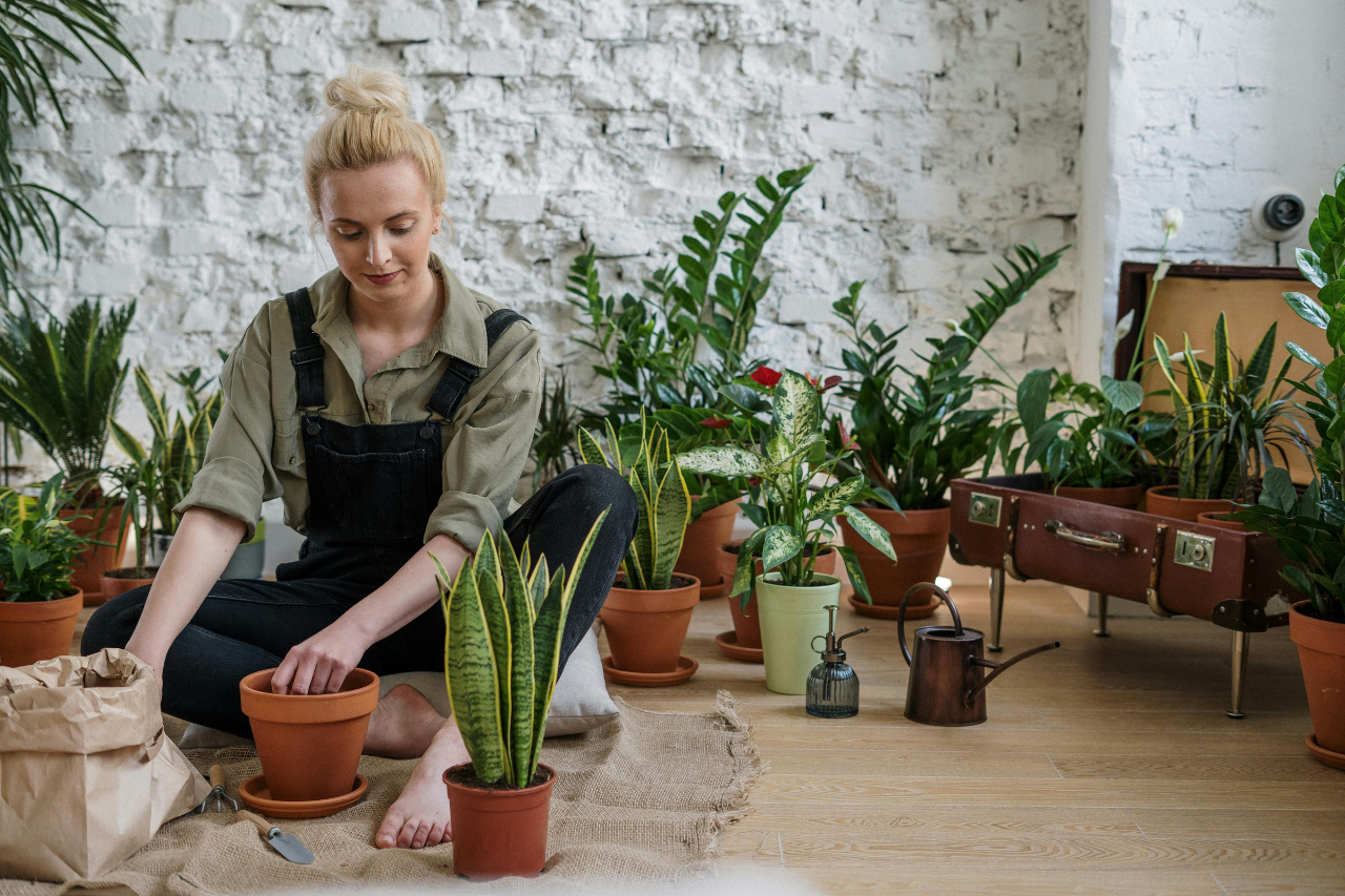 The Lazy Gardener’s Guide to Happy Plants