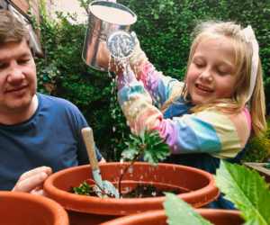 Essential Gardening Jobs for October: Your Complete Guide